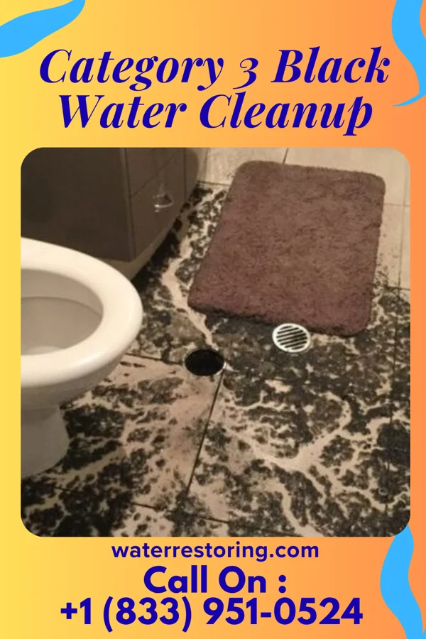 Category 3 Black Water Cleanup in Phillips, OK