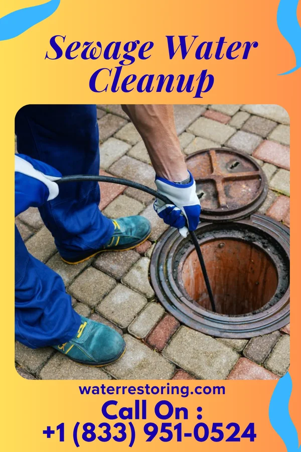 Sewage Water Cleanup in Phillips, OK